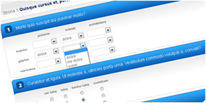 wy�li ankiet�